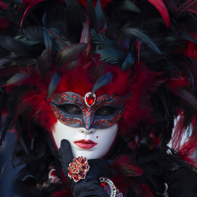 "Red and Black Costume at Venice Carnival" by Bobb Strongman - £20.00 "Red and Black Costume at Venice Carnival" stock image