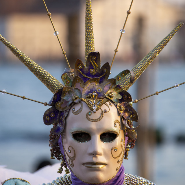 "Spiked Headdress at Venice Carnival" by Bobb Strongman - £20.00 "Spiked Headdress at Venice Carnival" stock image
