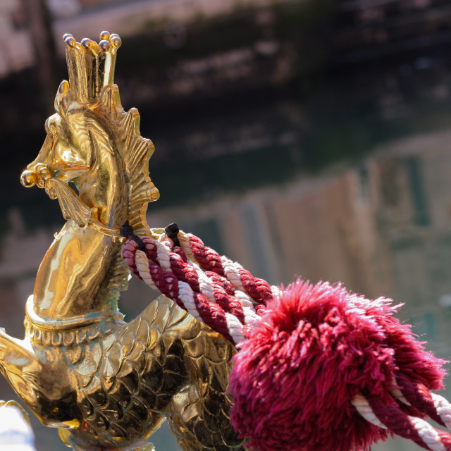 "Gondola Seahorse, Venice" by Bobb Strongman - £20.00 "Gondola Seahorse, Venice" stock image