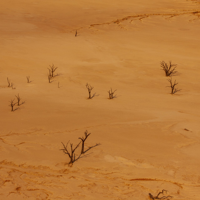 "Sossusvlei, Namibia" by Bobb Strongman - £20.00 "Sossusvlei, Namibia" stock image
