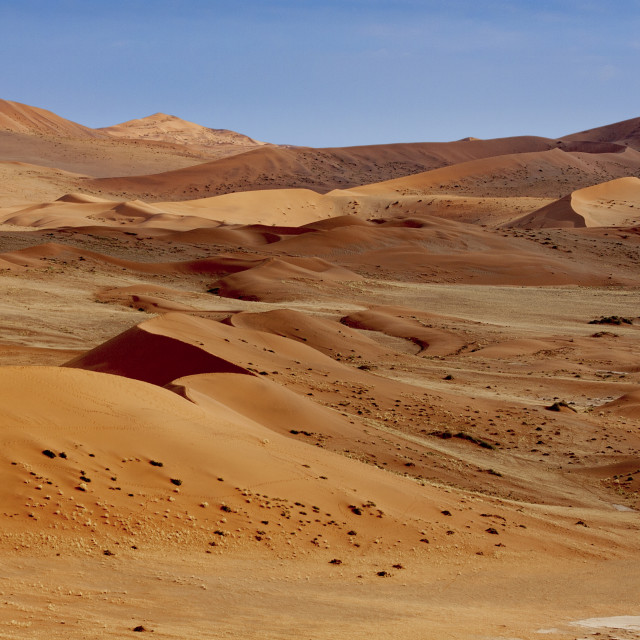 "Sossusvlei, Namibia" by Bobb Strongman - £20.00 "Sossusvlei, Namibia" stock image
