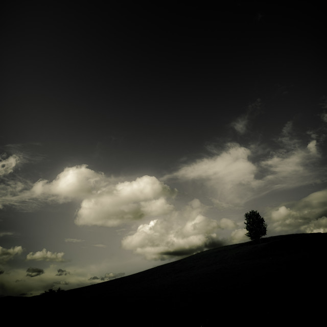 "Hillside Scene" by Stig Cooper - $36.72 "Hillside Scene" stock image