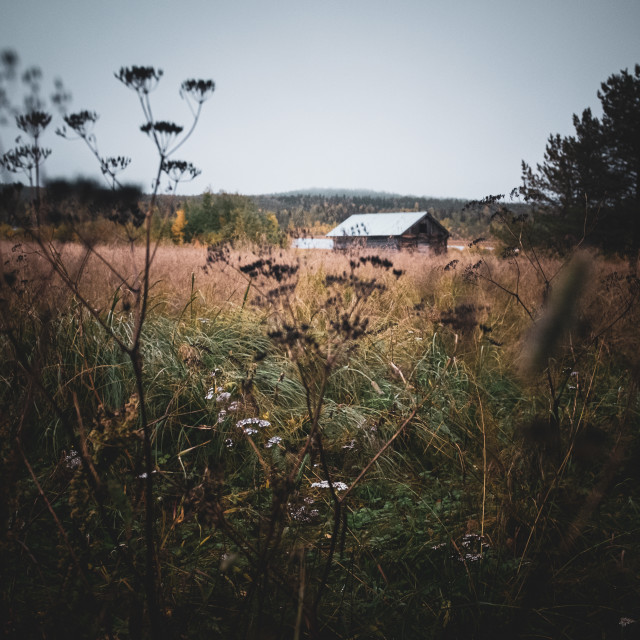 "Sweden Landscape" stock image