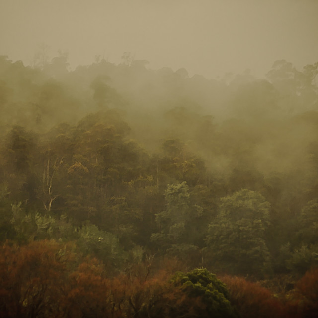 "Misty Morning" stock image