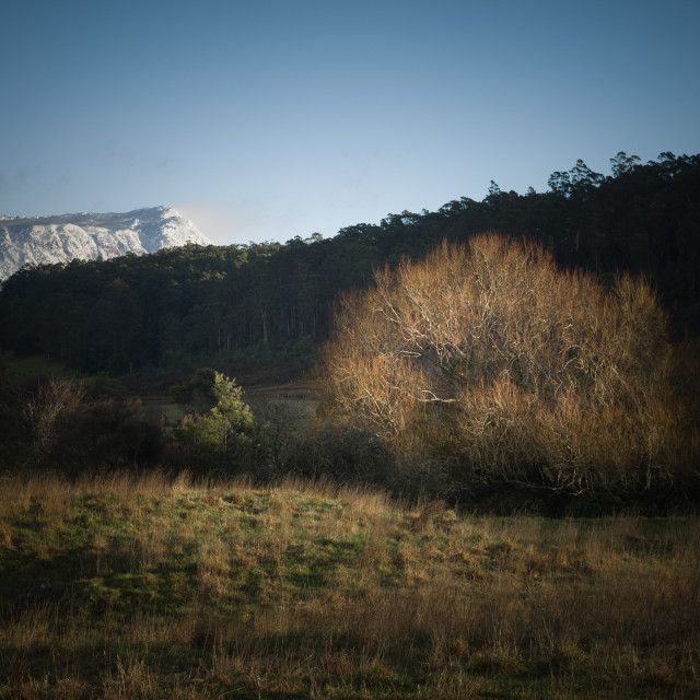 "Mount Roland" stock image