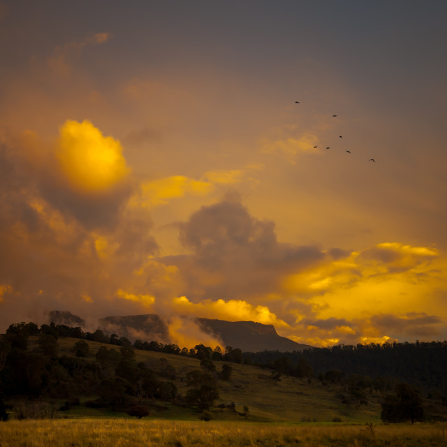 "Mole Creek Magic" stock image