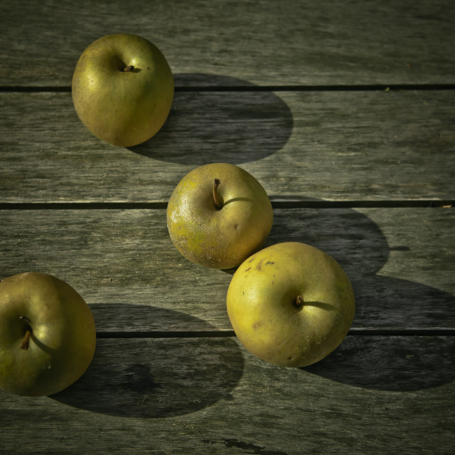 "Fruity" stock image