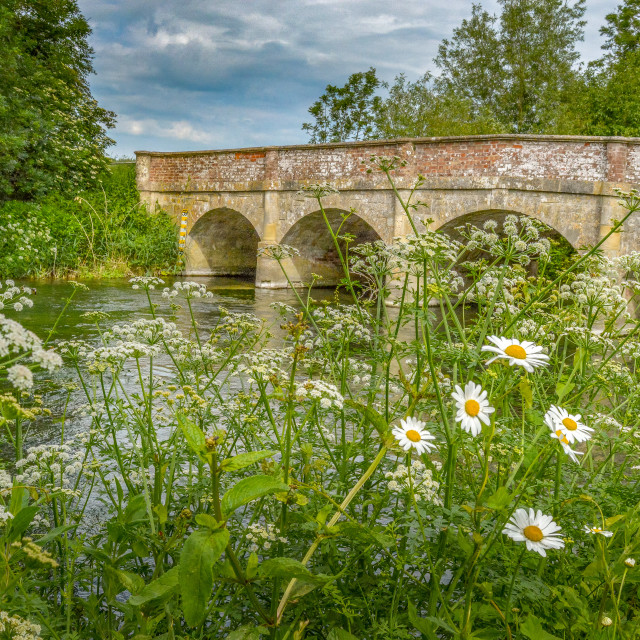 "Arched Bridge Over A Wiltshire river, England" stock image