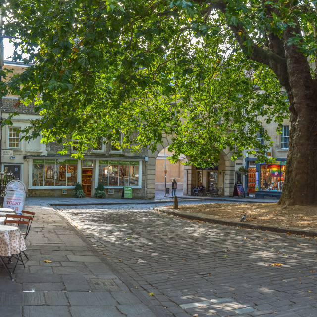 "A Big Beautiful Tree In Bath, Somerset" stock image