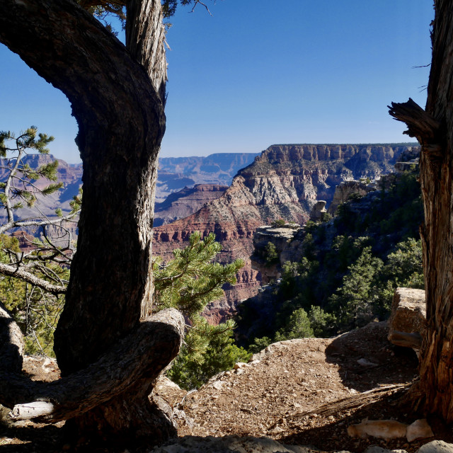 "Grand Canyon" stock image