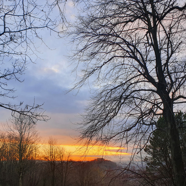 "Sunset in Botanic Gardens Glasgow" stock image