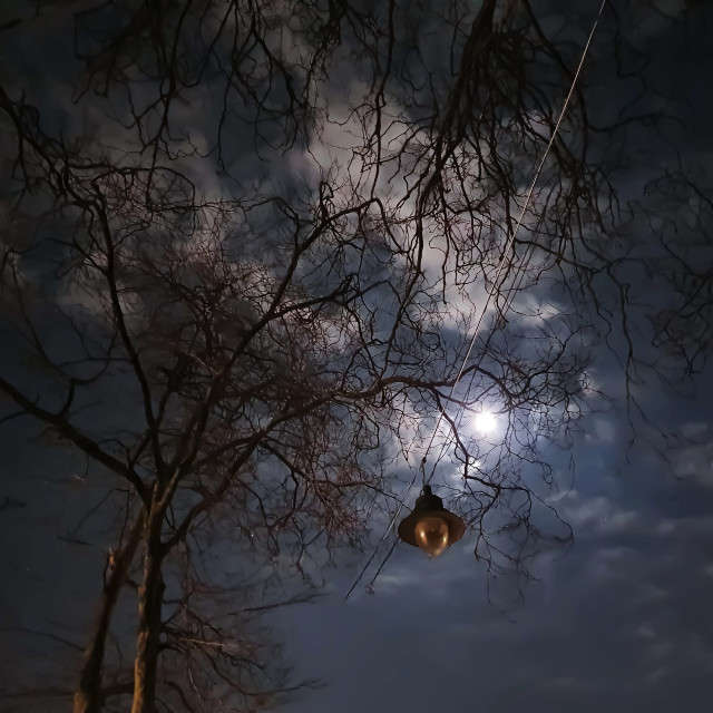 "Moon and Street Light" stock image