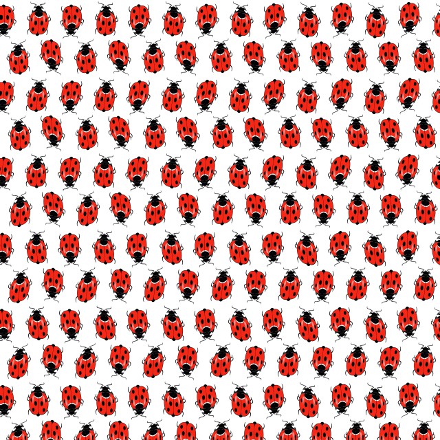 "Digital composite - Sevenspot Ladybird." stock image