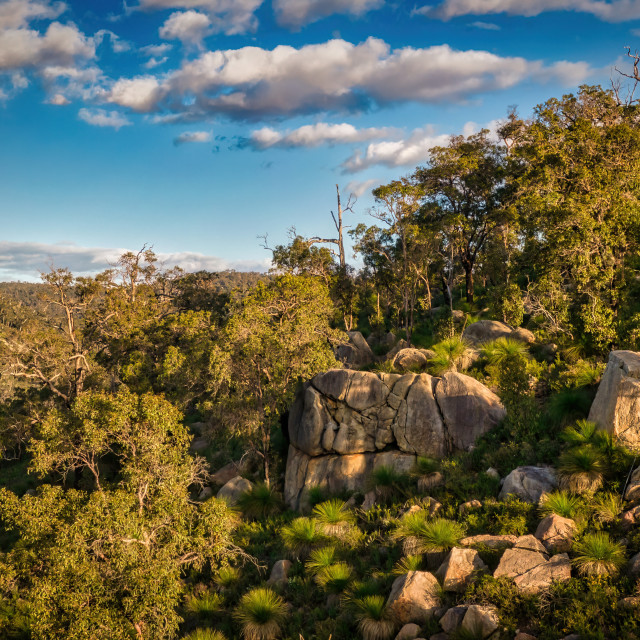 "Darling Range Rocky Hillside" stock image