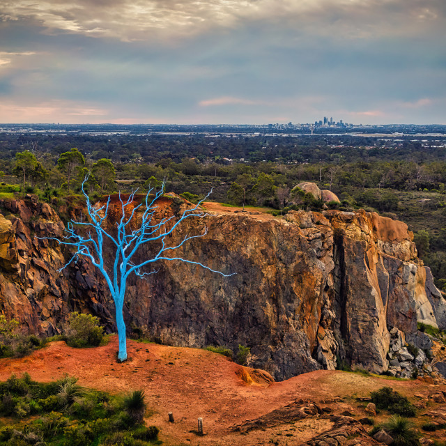 "Blue Tree, Stathams Quarry" by Sam Blight - $12.45 "Blue Tree, Stathams Quarry" stock image