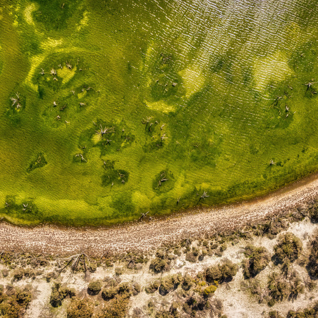 "Wheatbelt lake" stock image