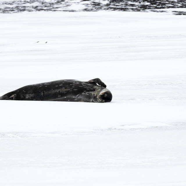 super seal 1 scratch record download super seal 1 scratch record download