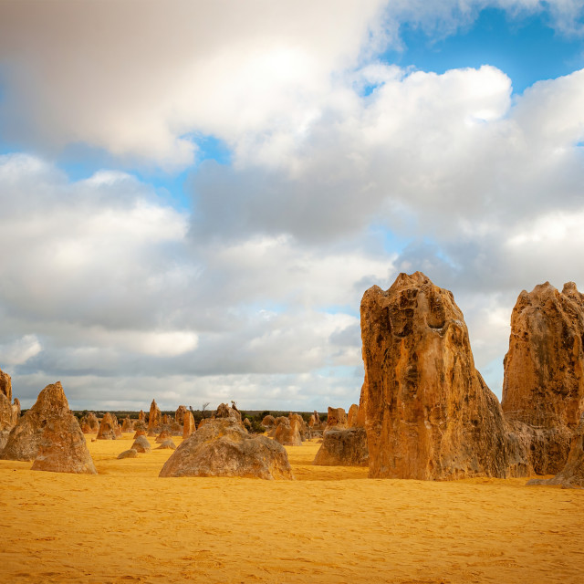 "Pinnacles Nambung National Park" stock image