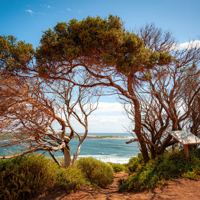 "Cowaramup Bay" stock image