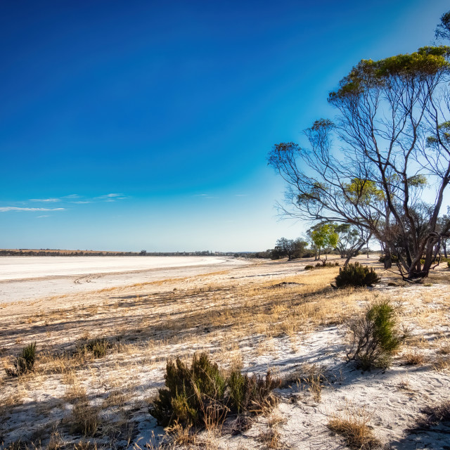 "Wheatbelt Salt Lake" stock image