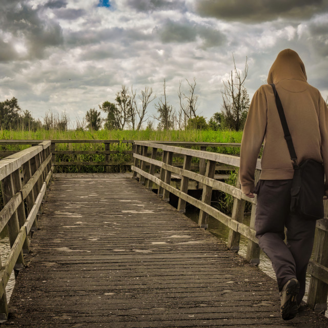 "Bridge at Oostvaardersplassen" stock image