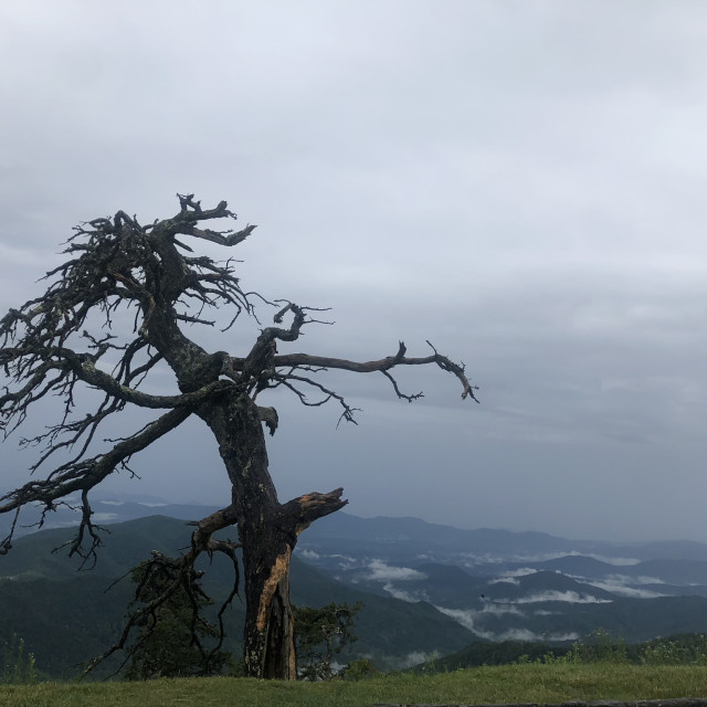 "The Sentinel" stock image