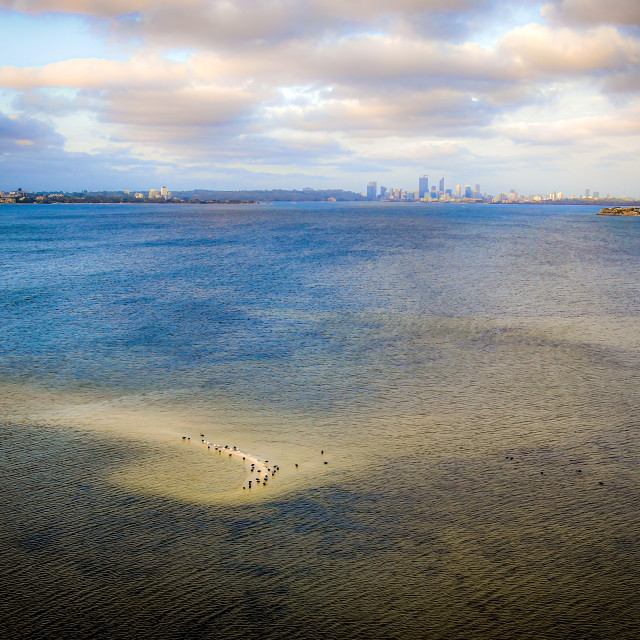 "Birds on Sand Bank" stock image