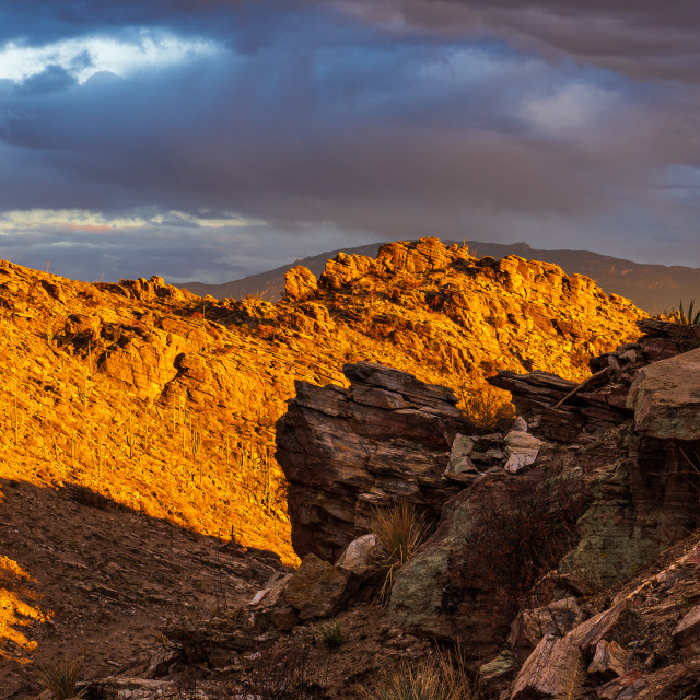 "Hoodoo Shadows" by Caymin Hannan - £10.00 "Hoodoo Shadows" stock image