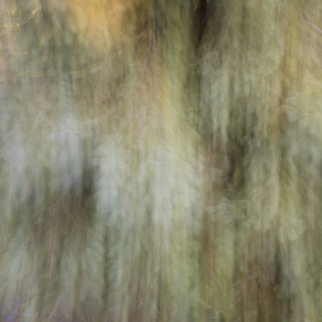 "A Creative Blur" by www.nishantdavid.ca - $16.05 "A Creative Blur" stock image