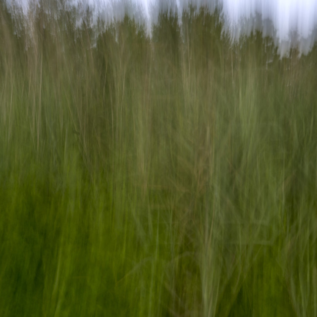 "A Creative Blur" by www.nishantdavid.ca - $16.05 "A Creative Blur" stock image