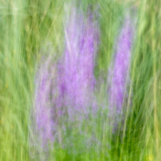"A Creative Blur" by www.nishantdavid.ca - $16.05 "A Creative Blur" stock image