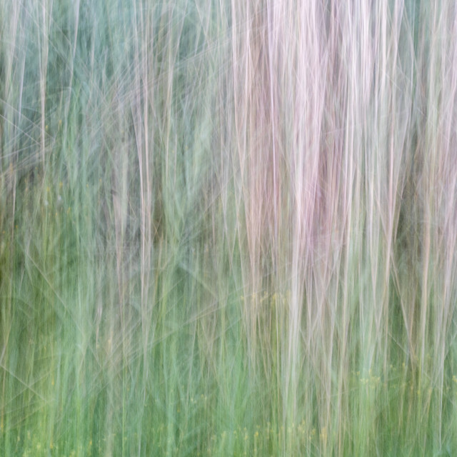 "A Creative Blur" by www.nishantdavid.ca - $16.05 "A Creative Blur" stock image