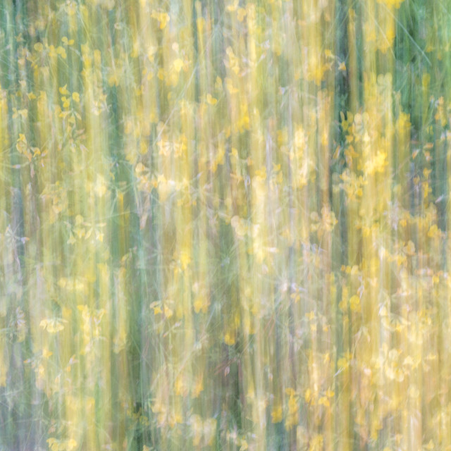 "A Creative Blur" by www.nishantdavid.ca - $16.05 "A Creative Blur" stock image