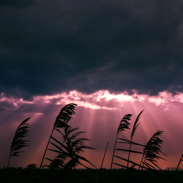 "Sunbeams under the clouds" stock image