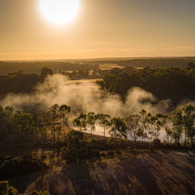 "Metricup Morning Mist" stock image