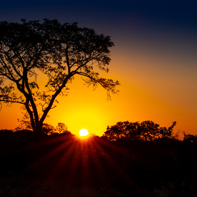 "Sunset in the Bushveld" stock image