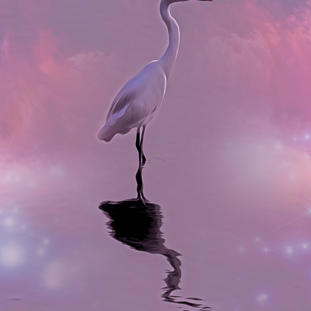 "White Heron" by Sadiq A Al Qatari - £10.00 "White Heron" stock image