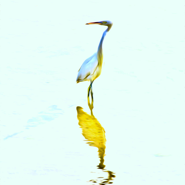 "The Heron Of Arabia" by Sadiq A Al Qatari - £10.00 "The Heron Of Arabia" stock image