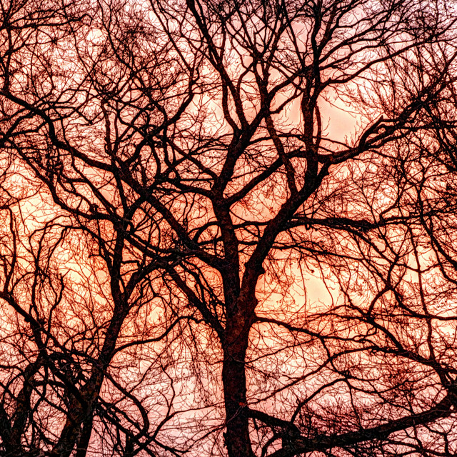 "Red Sky In the Morning" by Barry Whyte - £15.00 "Red Sky In the Morning" stock image