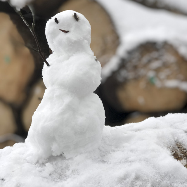 "Mini-Snowman" stock image