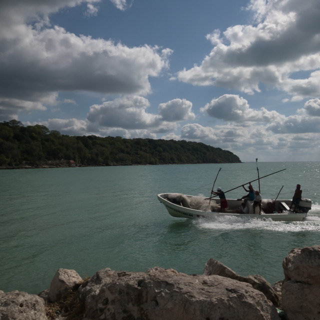"Varios pescadores en lancha sobre mar abierto en Campeche México" stock image
