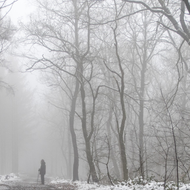 "foggy winter landscape" stock image