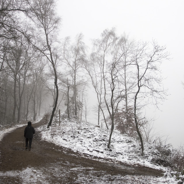 "foggy winter landscape" stock image