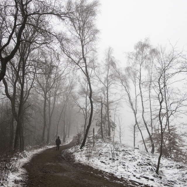 "foggy winter landscape" stock image