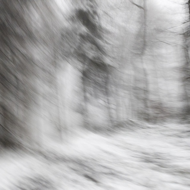 "blurry winter landscape" stock image