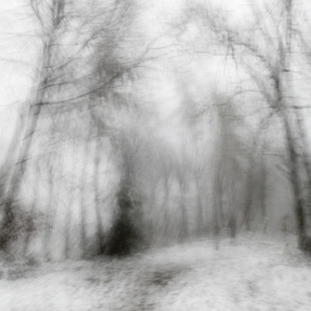 "blurry winter landscape" stock image