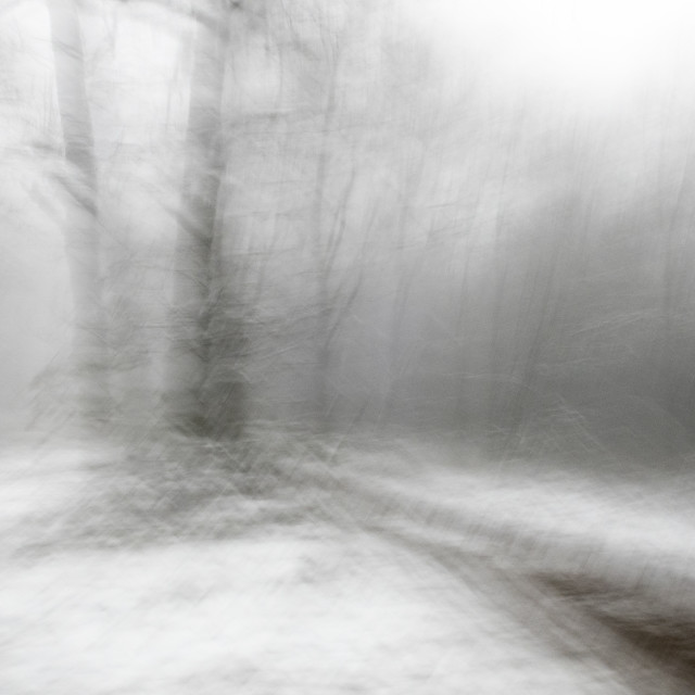 "blurry winter landscape" stock image