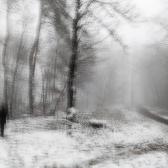 "blurry winter landscape" stock image