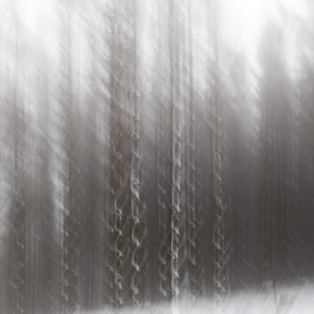 "blurry winter landscape" stock image