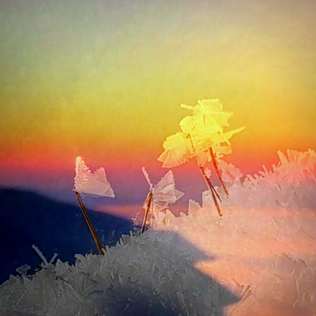 "'Ice-butterflies' at sunset" by Rudolf Reinbacher - $21.70 "'Ice-butterflies' at sunset" stock image